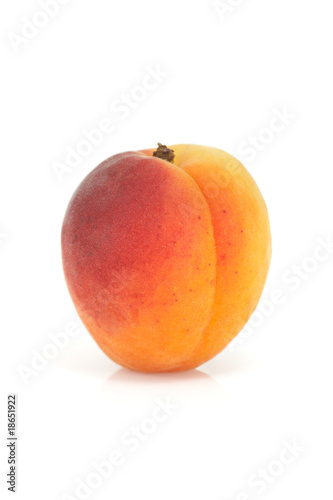 Single apricot