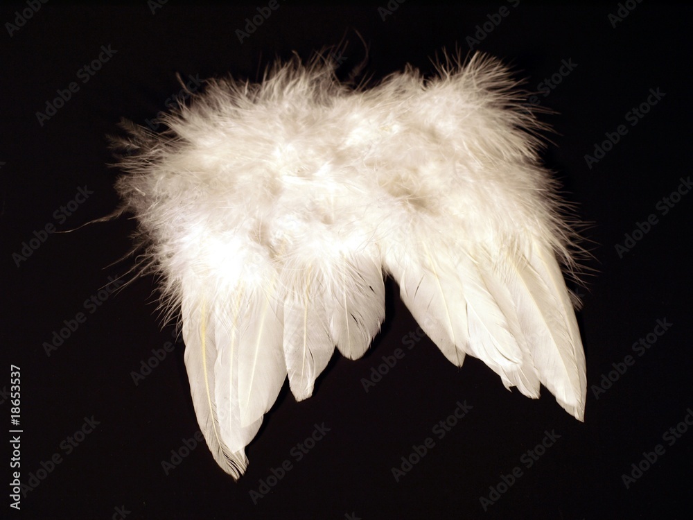 flügel StockFoto Adobe Stock