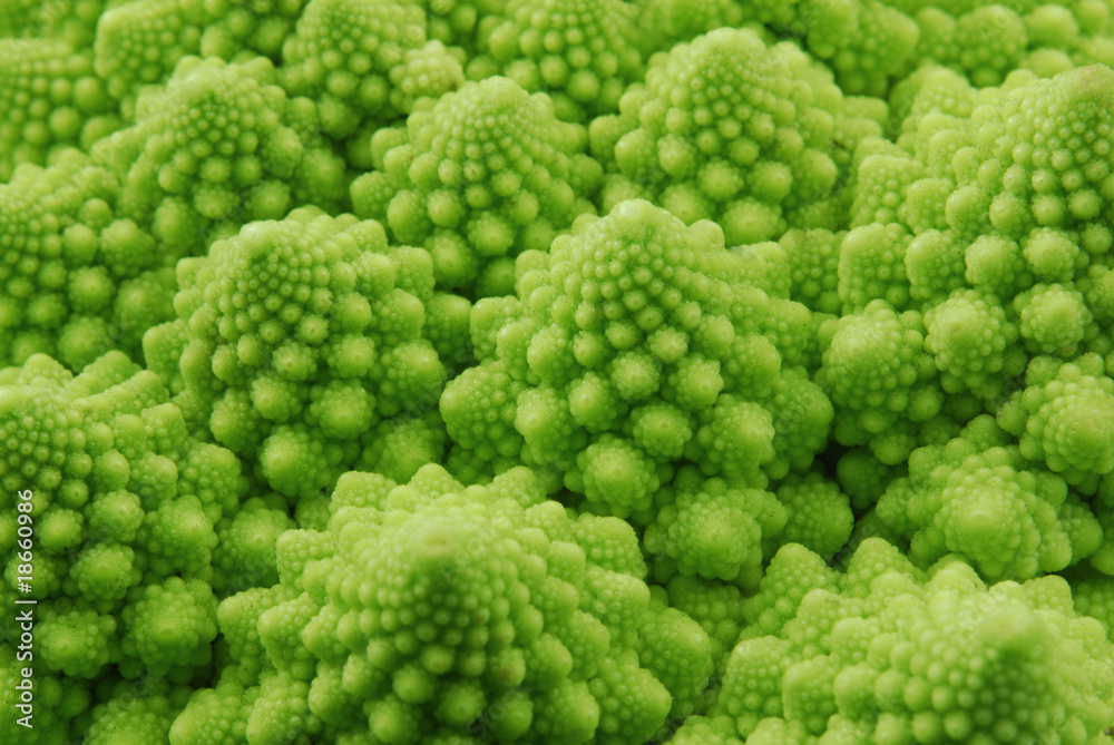 romanesco broccoli romanesco broccoli