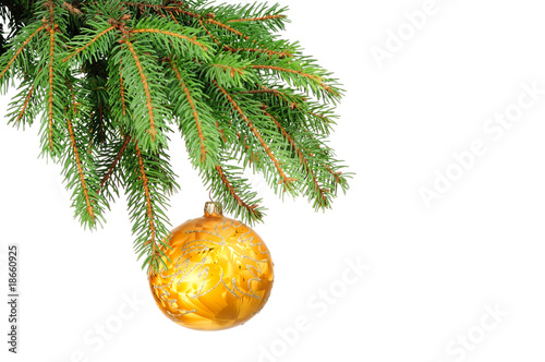 Pine branches and christmas decoration