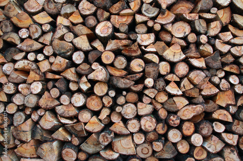 Firewood