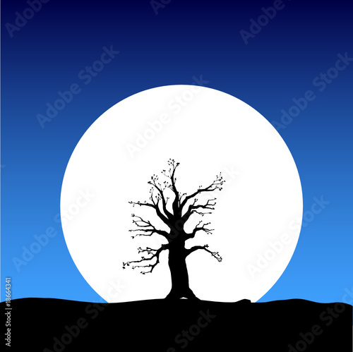 tree on the moon © draganm