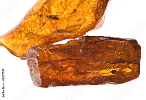 Piece of amber with the insects inside. white background. photo