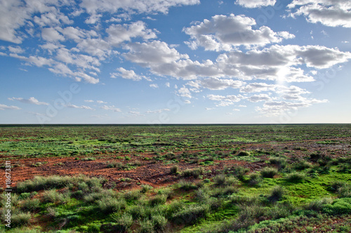 desert after rain