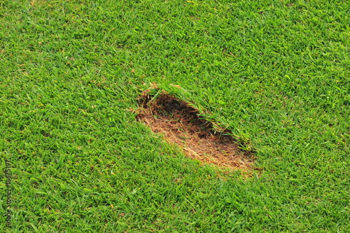 divot