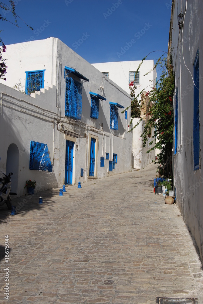 Rue de Sidi Bou Said en Tunisie