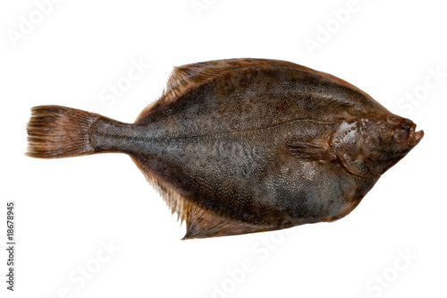 Plaice fish