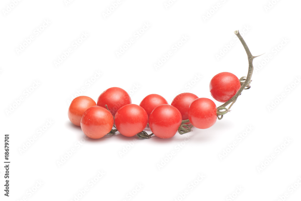 Obraz premium cherry tomato