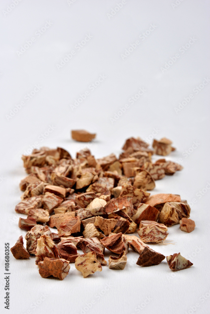 some organic cracked betelnut and white background some organic cracked betelnut and white background