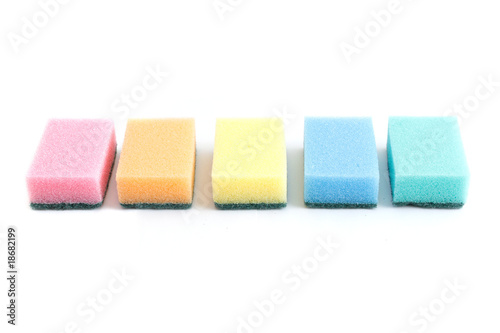 Sponges