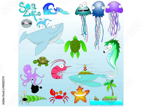 Sea Life