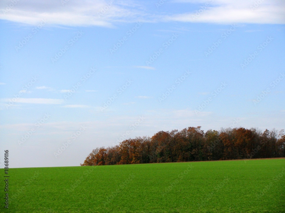 Fototapeta premium campagne