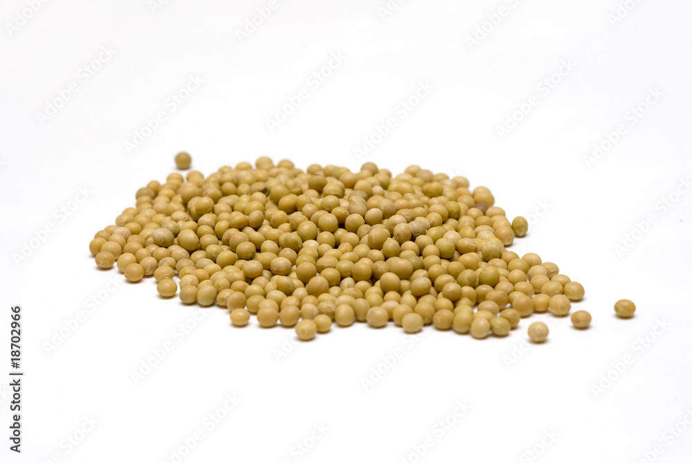 soybeans with white backgrounds soybeans with white backgrounds