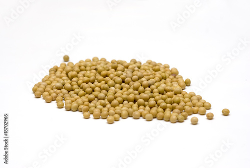 soybeans with white backgrounds