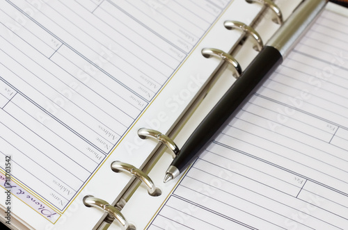 Wallpaper Mural business organizer Torontodigital.ca