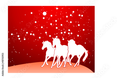 winter horses
