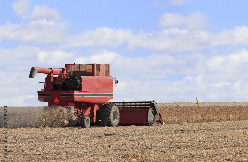 Obraz premium Soybean Harvest