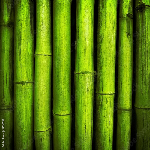 bamboo background © Eky Chan
