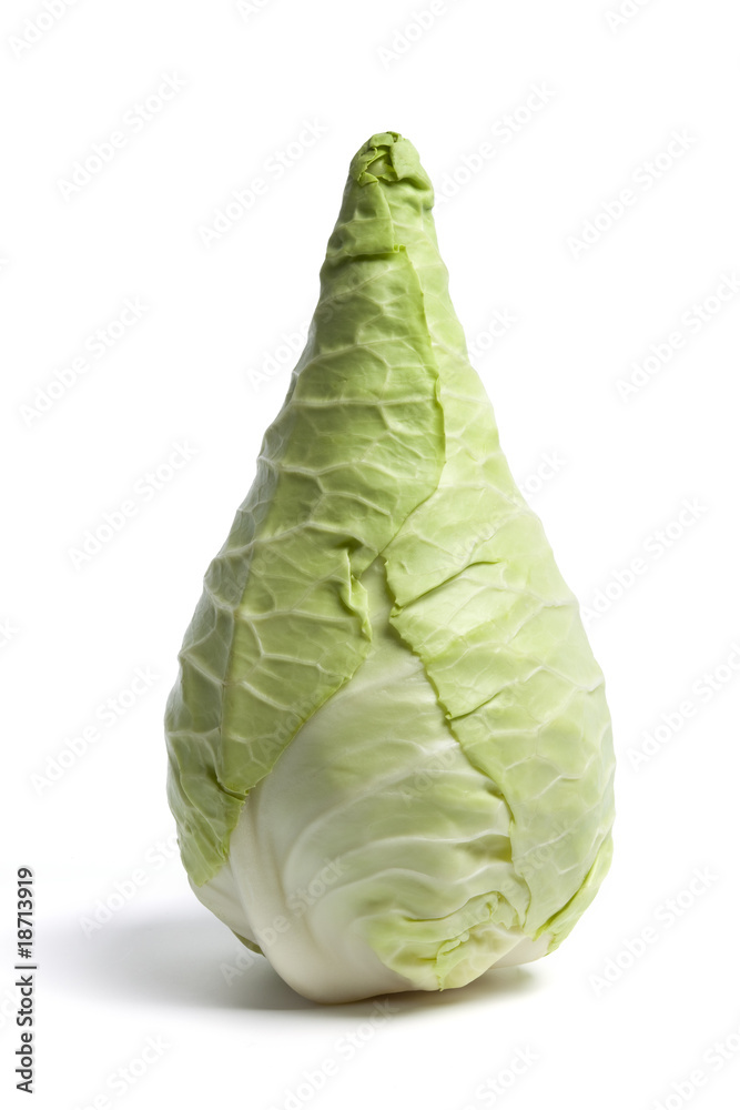 Fototapeta premium One whole pointed cabbage on white background