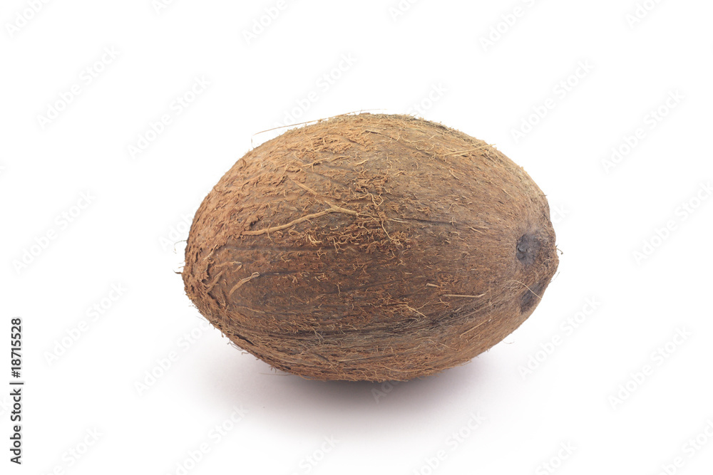 coconut lying on a white background coconut lying on a white background