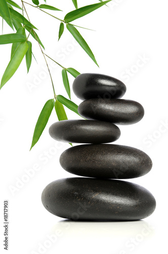 Five Black Stones and Bamboo