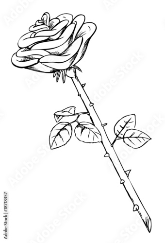 Rose,  Valentinstag, Stacheln, Dornen, Blume