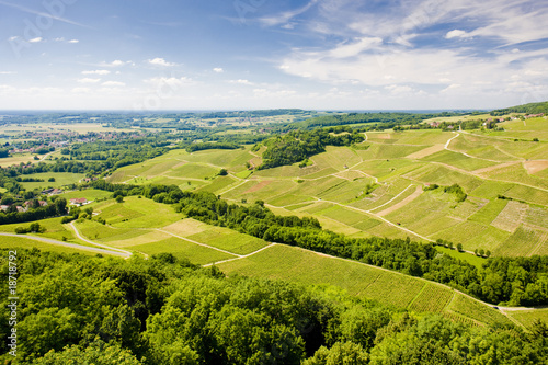 vineyards near Chateau Chalon, Jura, Franche-Comte, France
