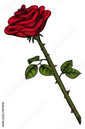 Rose, Valentinstag, Stacheln, Dornen, Blume Stock-Illustration | Adobe Stock