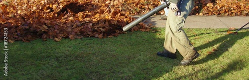 blowing leaves