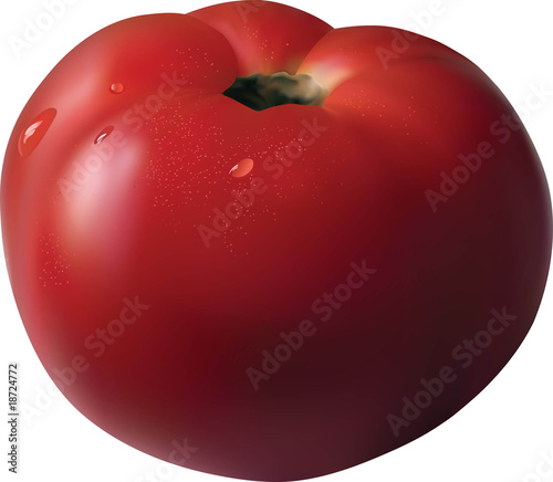 Tomato