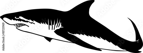 Wallpaper Mural Shark Torontodigital.ca