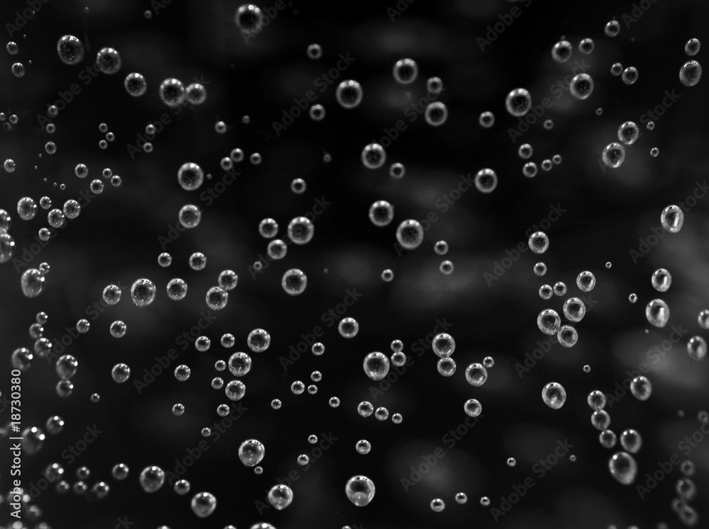 Bubbles Bubbles