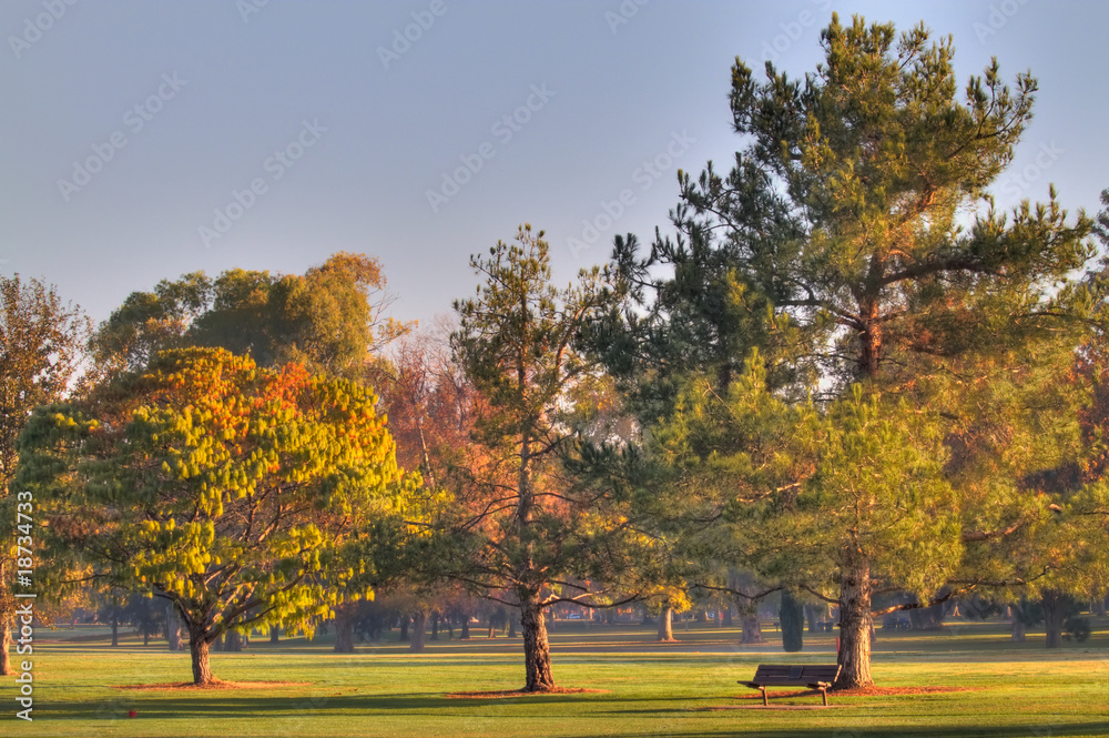 Naklejka premium Golf Course Greens Bench HDR