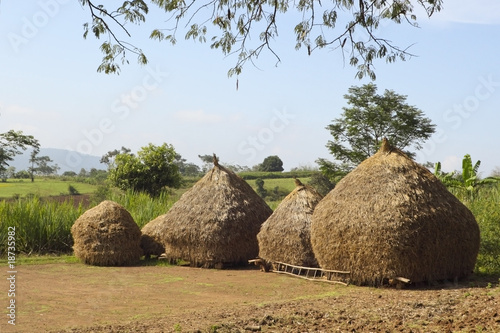 rural karnataka india