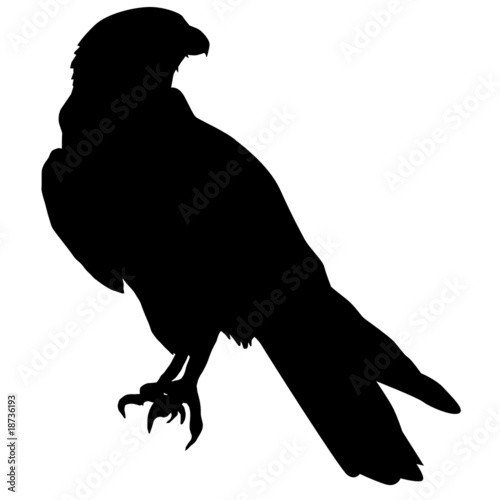 Falcon