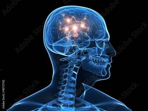 transparenter Kopf mit aktivem Gehirn photo