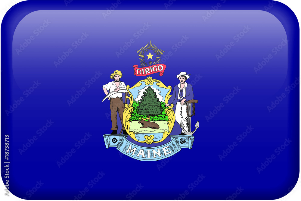 Obraz premium Maine Flag Button