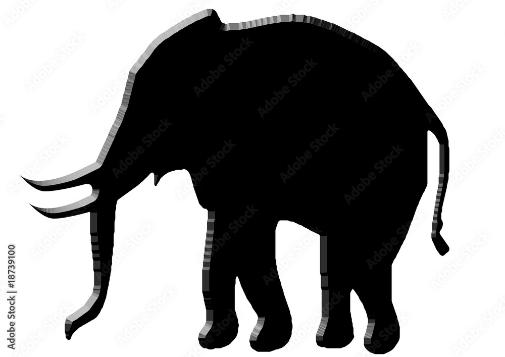 Fototapeta premium Elefant