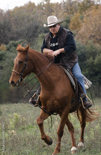 cow boy en pleine nature,