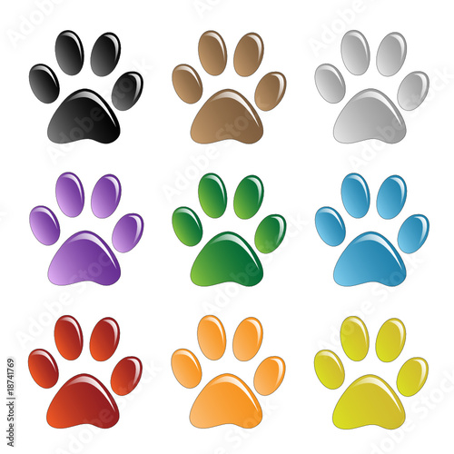 Paw Prints