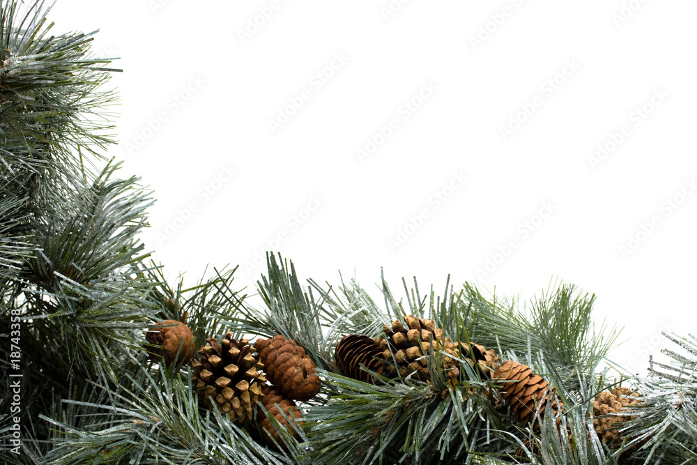 Obraz premium Garland Border
