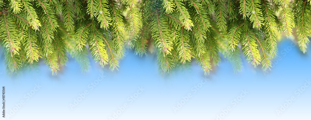Tannenzweig Banner Tannenzweig Banner