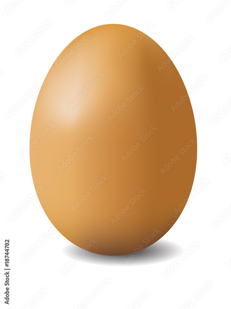 illustation of brown egg illustation of brown egg