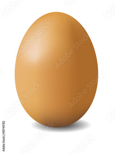 illustation of brown egg
