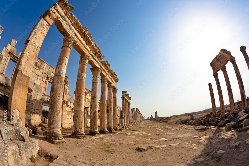 Fototapeta premium Syria - Apamea