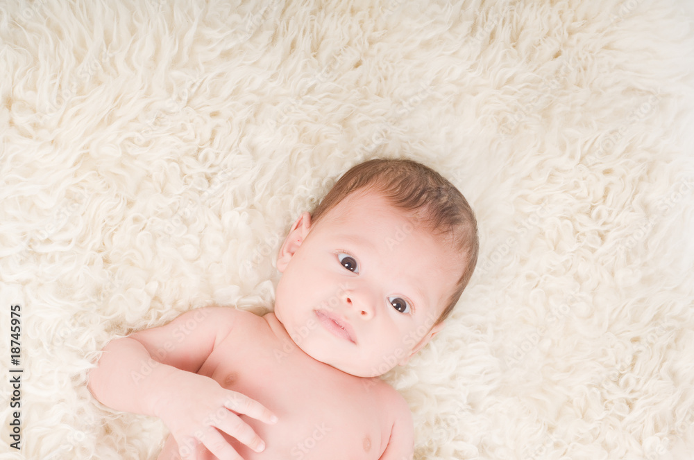 Newborn Newborn