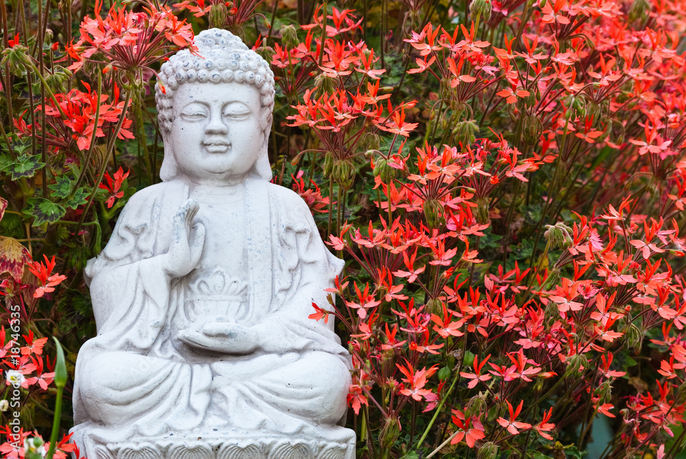 Buddha and geraniums