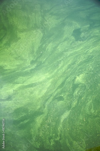 green water