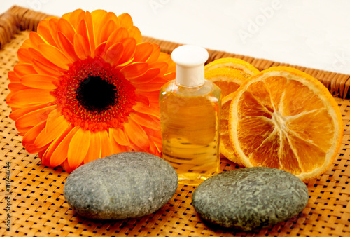 Wellness II