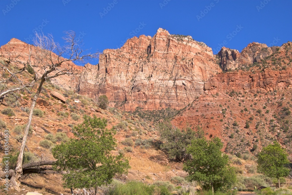 Colourful rock formations in Zion National Park